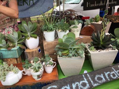 Nabiac Farmers Market