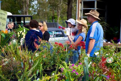 Nabiac Farmers Market
