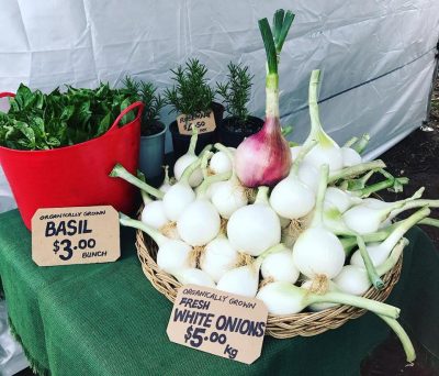 Nabiac Farmers Market